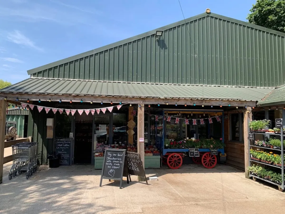 Local Businesses